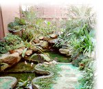 Beautiful tropical gardens with soothing waterfall and fishpond